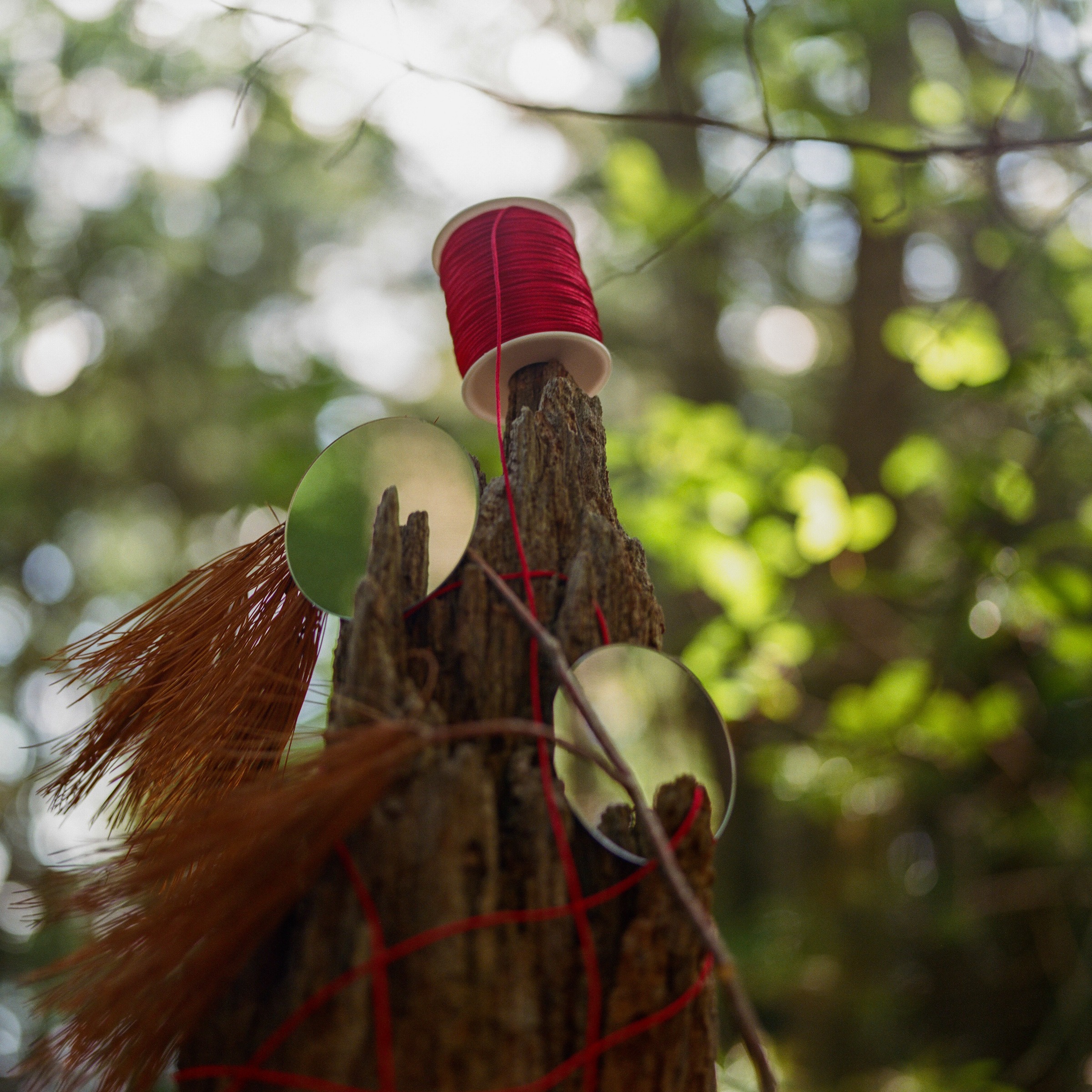 A tree wrapped in red thread with reflective circular objects.