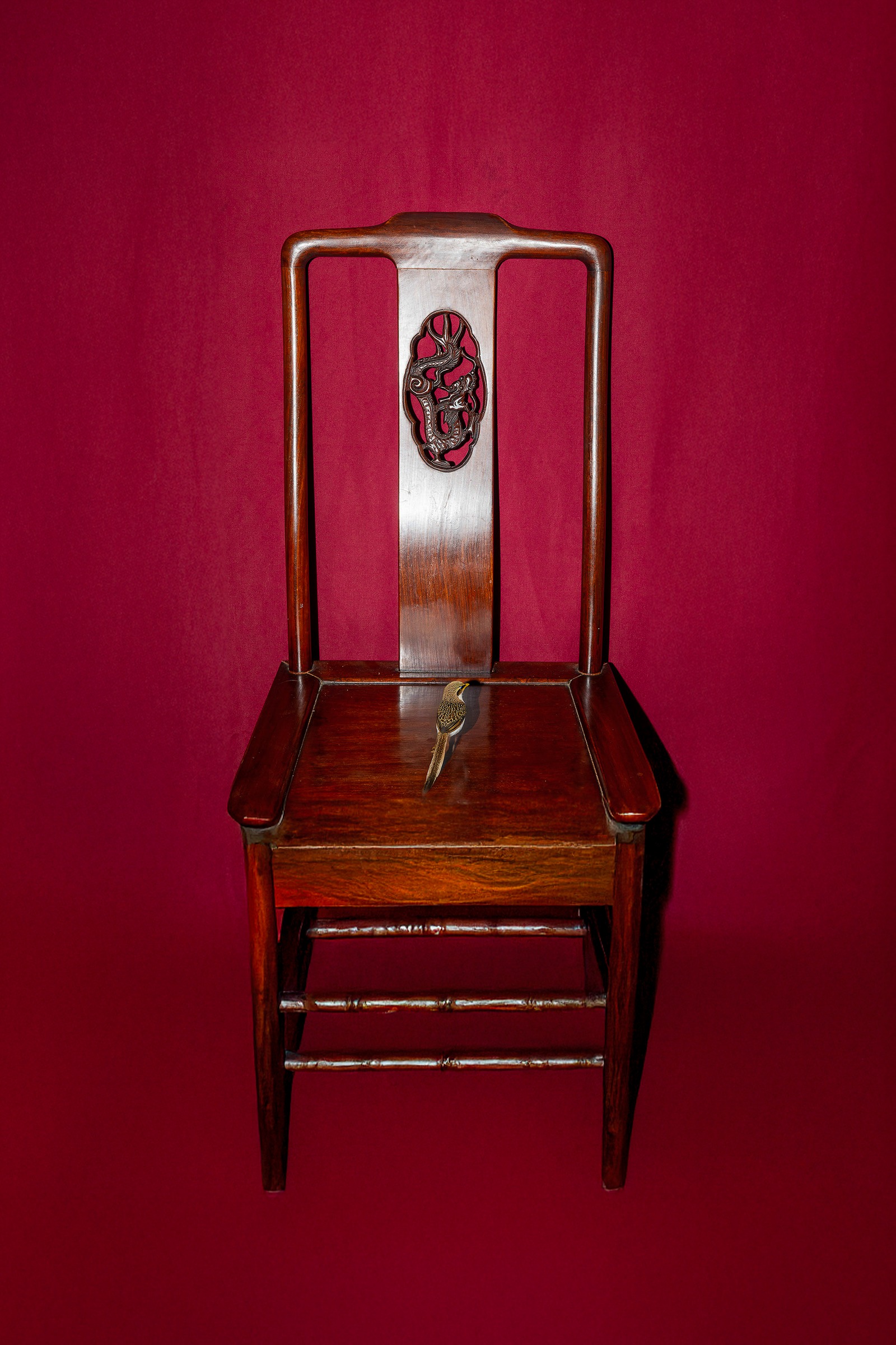 A wooden chair against a red backdrop with a suspended anatomical object.
